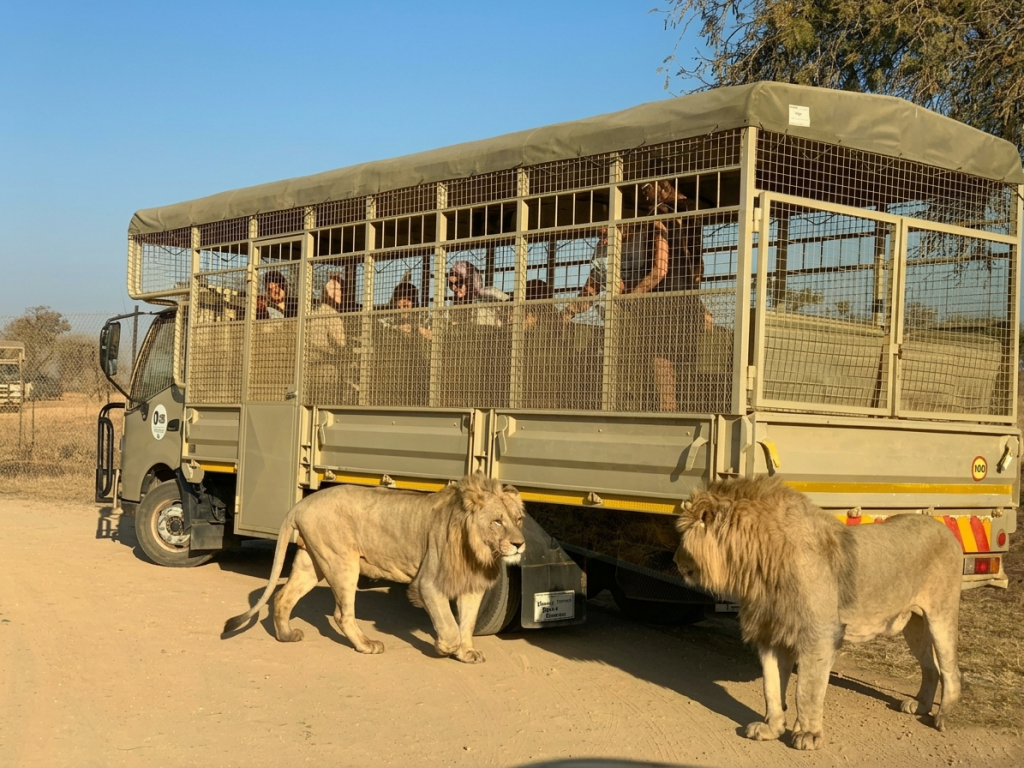 gemini generated image 5fxs7b5fxs7b5fxs