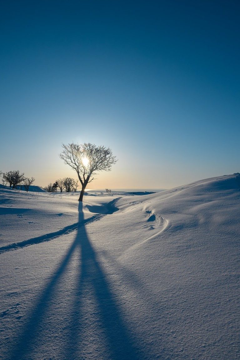 snow, winter, nature, landscape, cold, winterscape, snowy, wintry, frost, frosty, snowscape, sky, scenic, scenery, japan, outdoors, tree, shadow, sunset, hokkaido